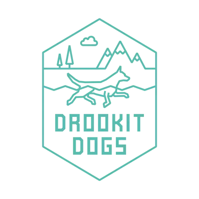 Dog Ventures