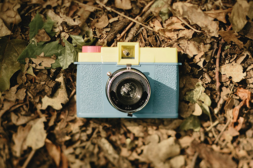 Foto Video Vlaminckx