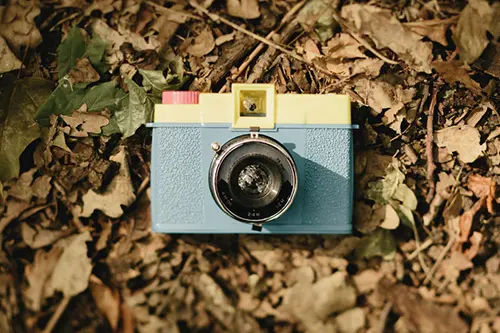 Foto Video Vlaminckx