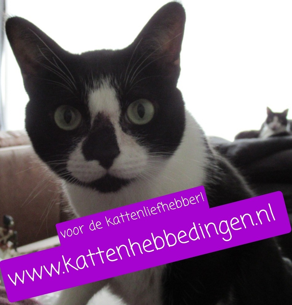 Kattenhebbedingen.nl