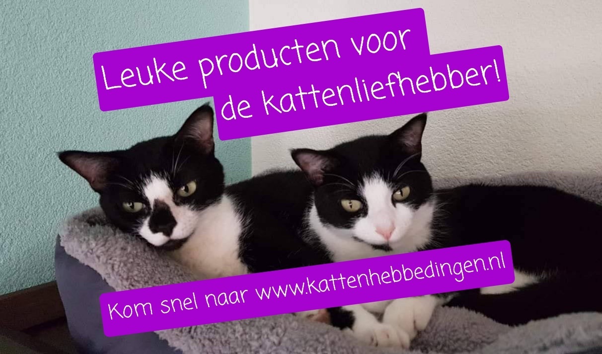 Kattenhebbedingen.nl