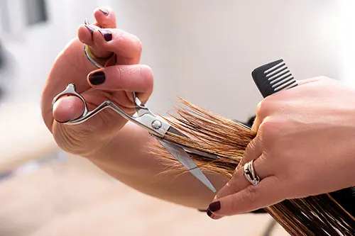 Staateenbaardmijwel.nl