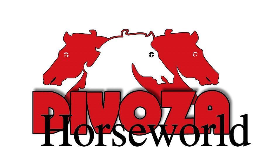 DIVOZA Horseworld