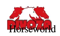 DIVOZA Horseworld