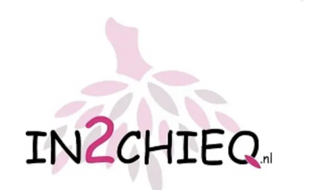 in2chieq logo