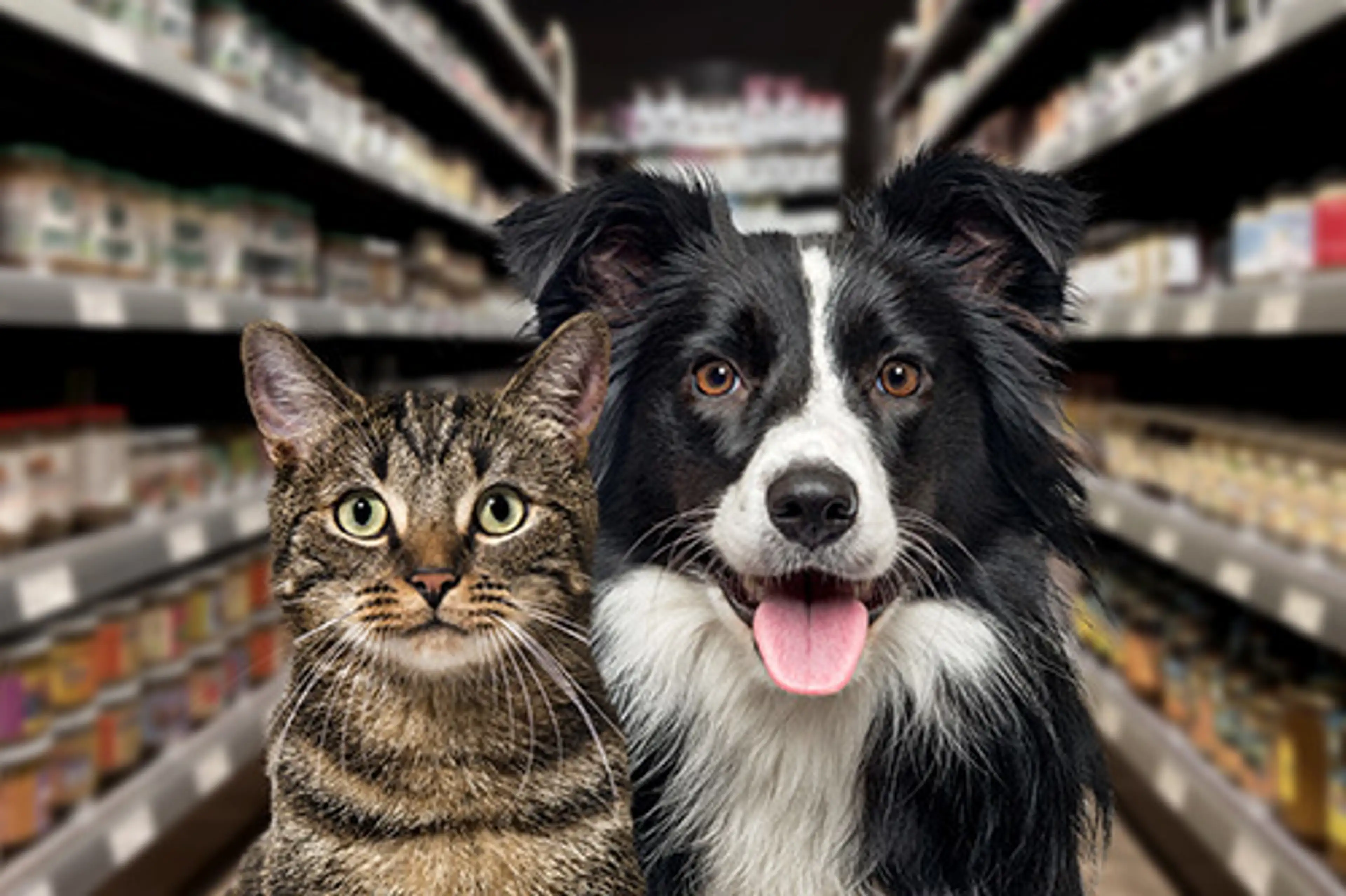Petsonline