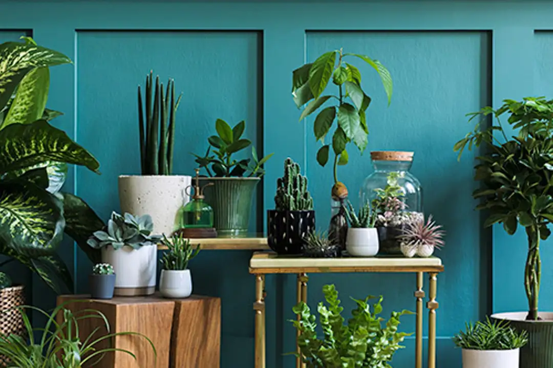 Tuincentrum De Wildernis