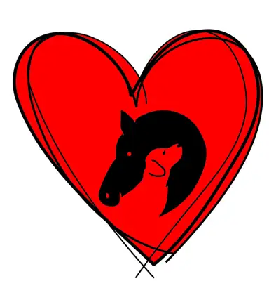 paardenspullenshop