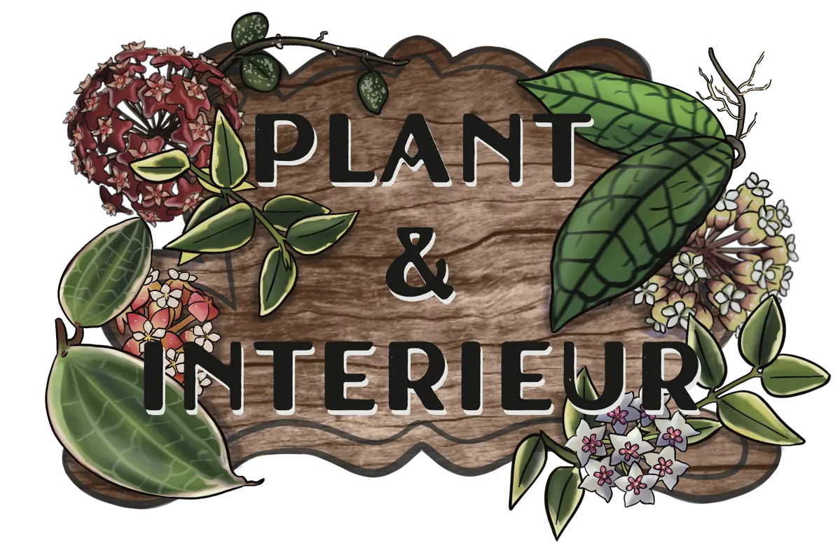 Plant & Interieur logo