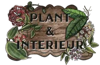 Plant & Interieur