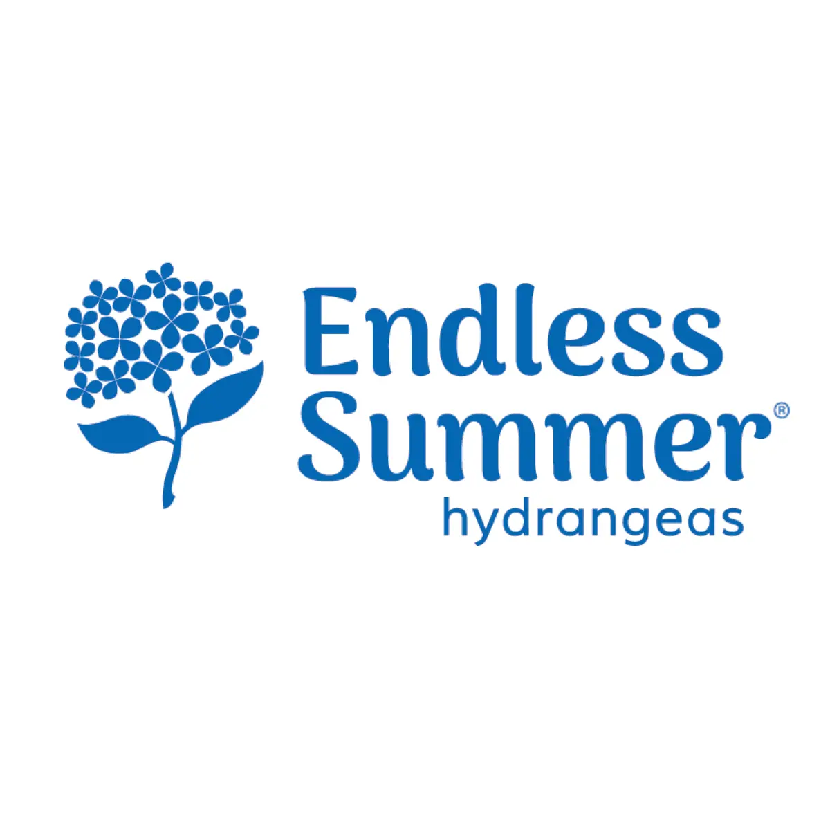 Endless Summer logo