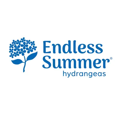 Endless Summer