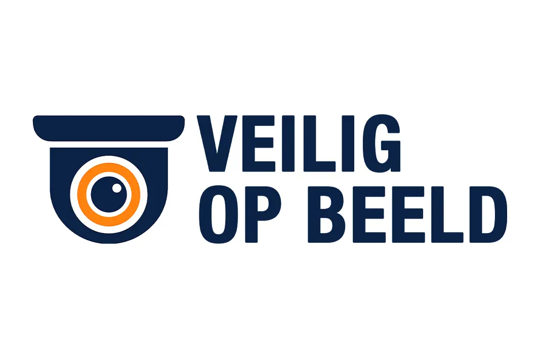 Dutch Security Group (DSG) | Veilig op Beeld logo