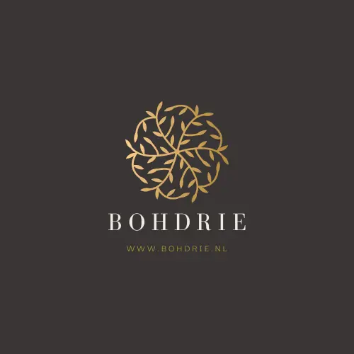 Bohdrie logo