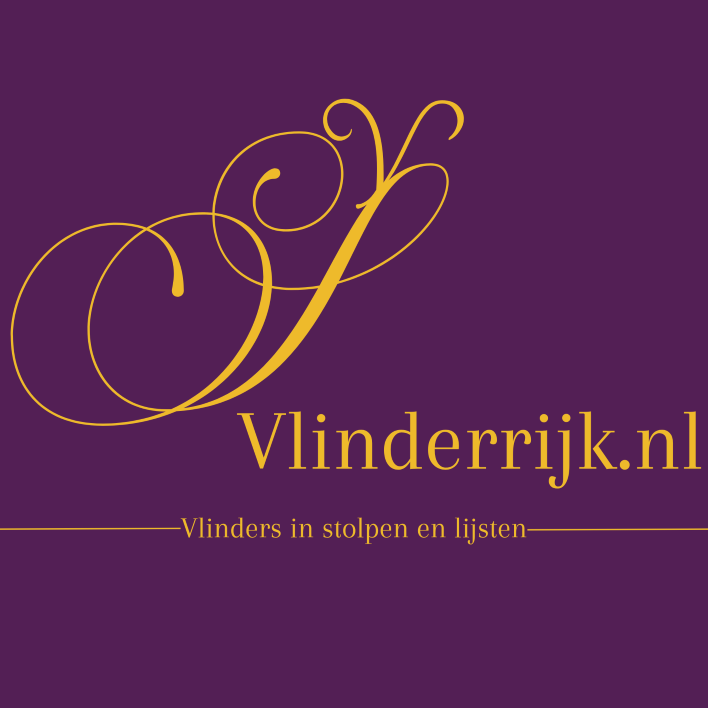 Vlinderrijk