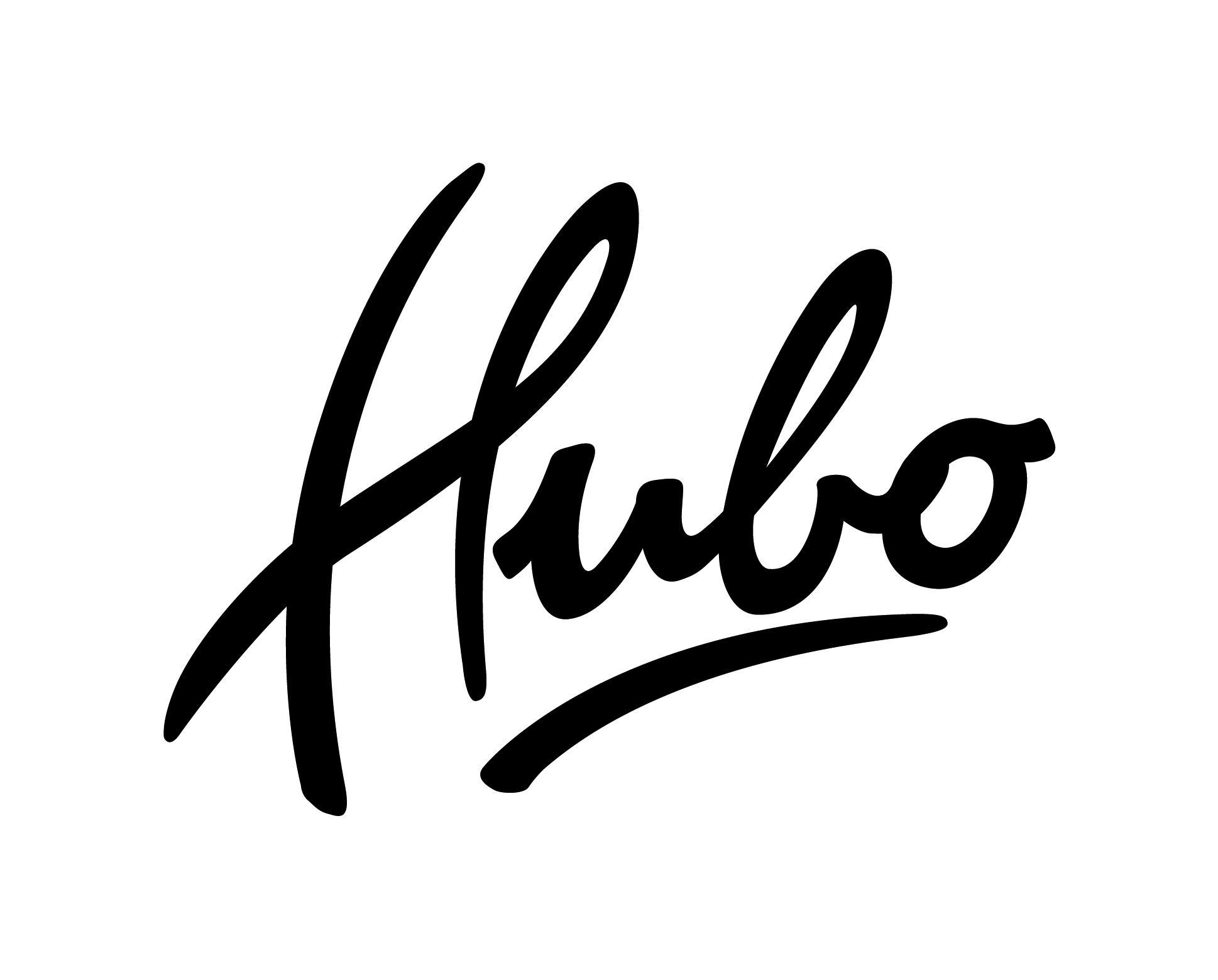 Hubo logo