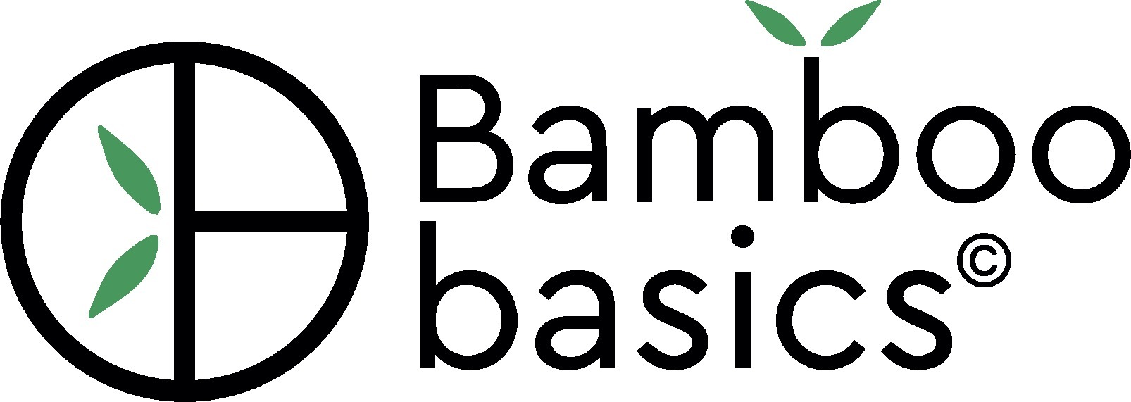 Bamboo Basics