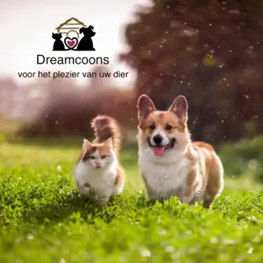Lucy Pets