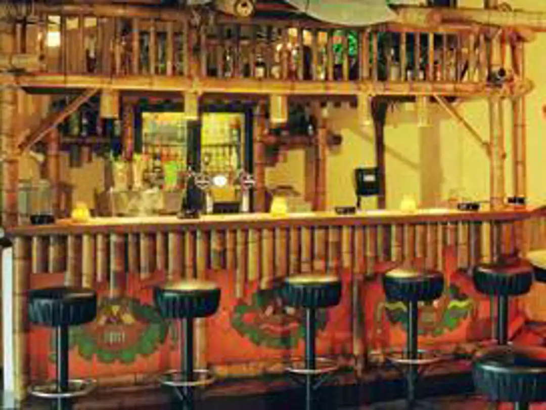 Palm Party House