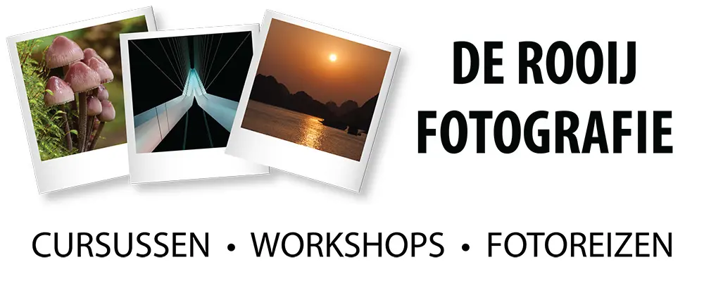 De Rooij Fotografie logo
