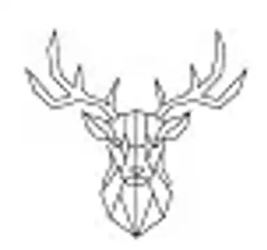 Bok-webshops