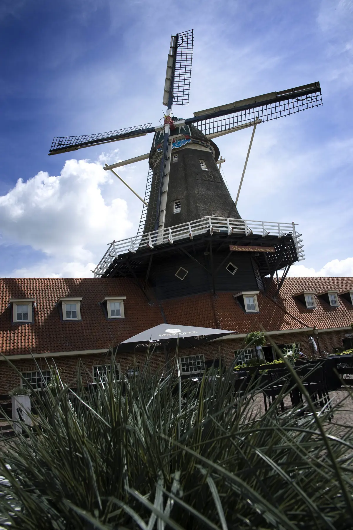 Molen 'de Zwaluw' logo