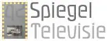 Spiegel Televisie logo