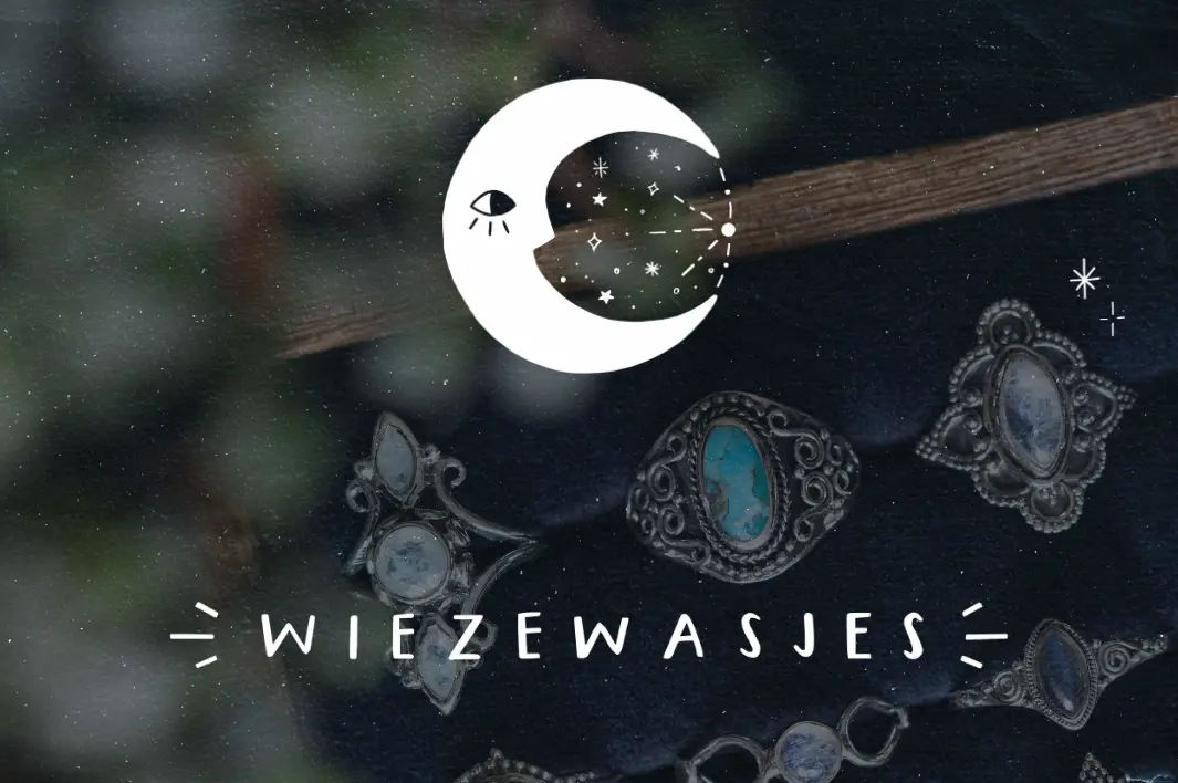 Wiezewasjes B.V. logo