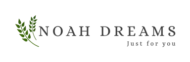Noah Dreams