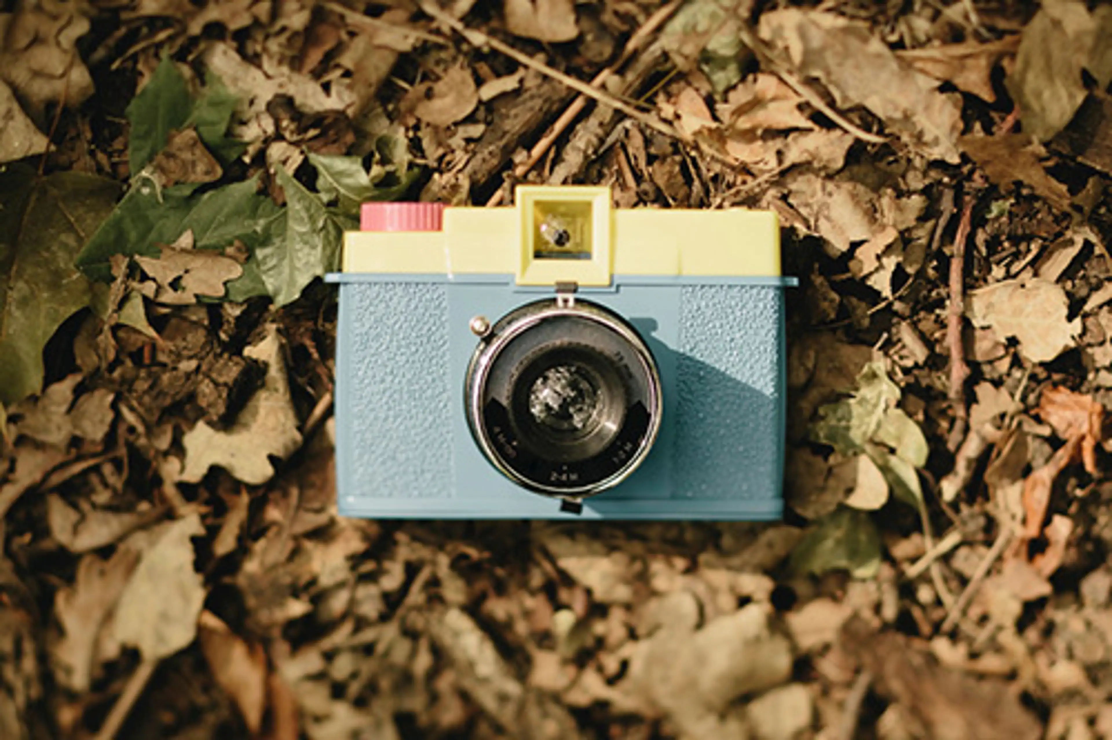 Bax Fotostudio