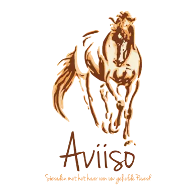 Aviiso