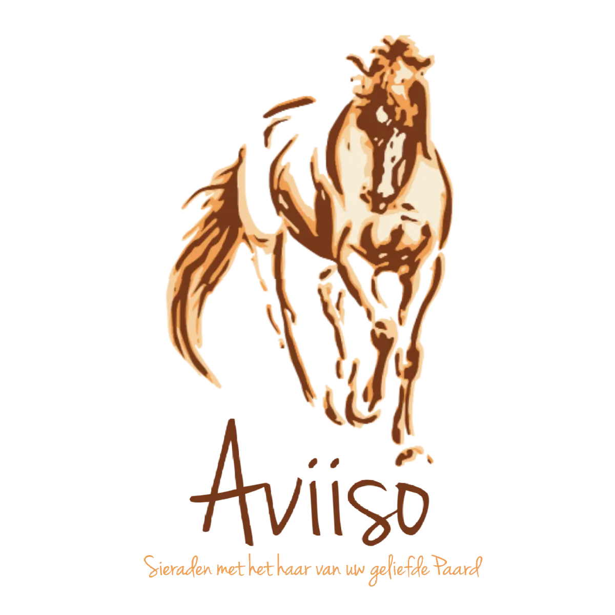 Aviiso logo