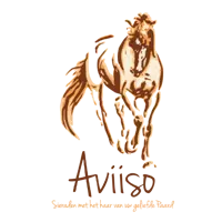 Aviiso