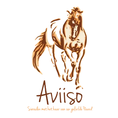 Aviiso