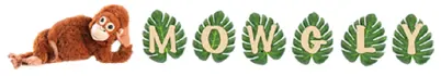 Mowgly Groupe