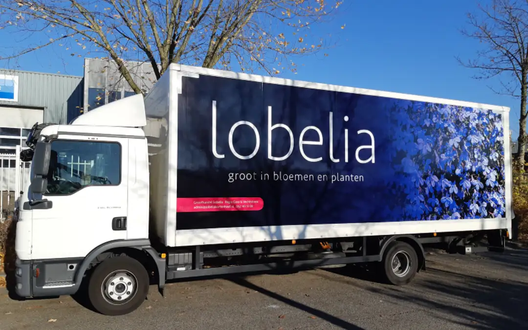 Bloemenhuis Lobelia