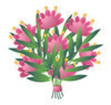 Bloemenboetieks Jan Bijl Tegelen