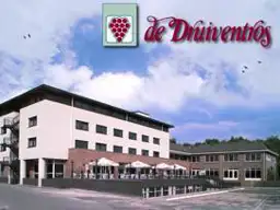 De Druiventros