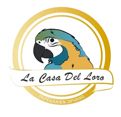 Stichting La Casa Del Loro