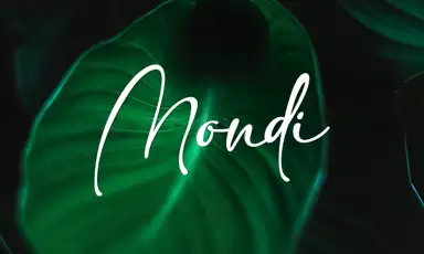 Mondi Amsterdam New West