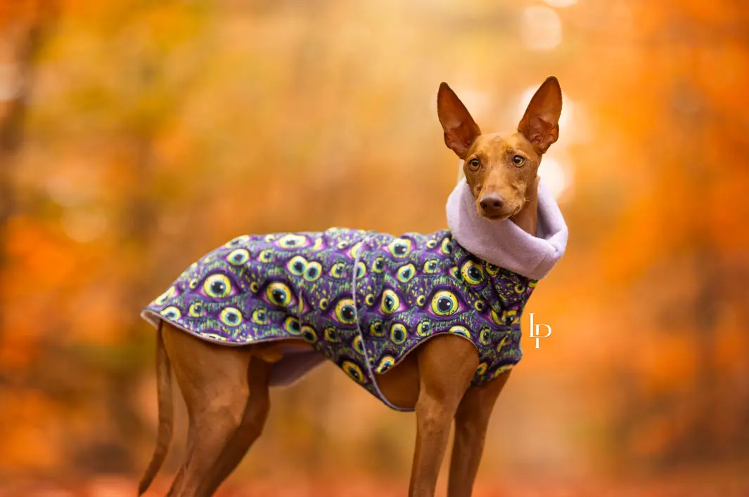 Polkadog and Petticat