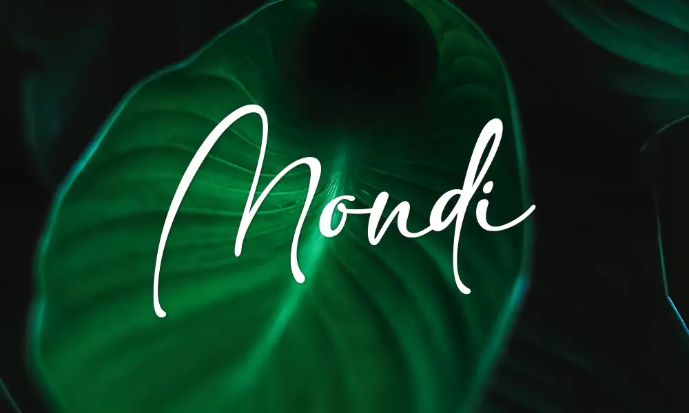 MONDI PIANOBAR & RESTAURANT AT SKYBAR 747 logo