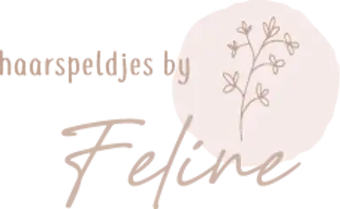 Haarspeldjes By Feline