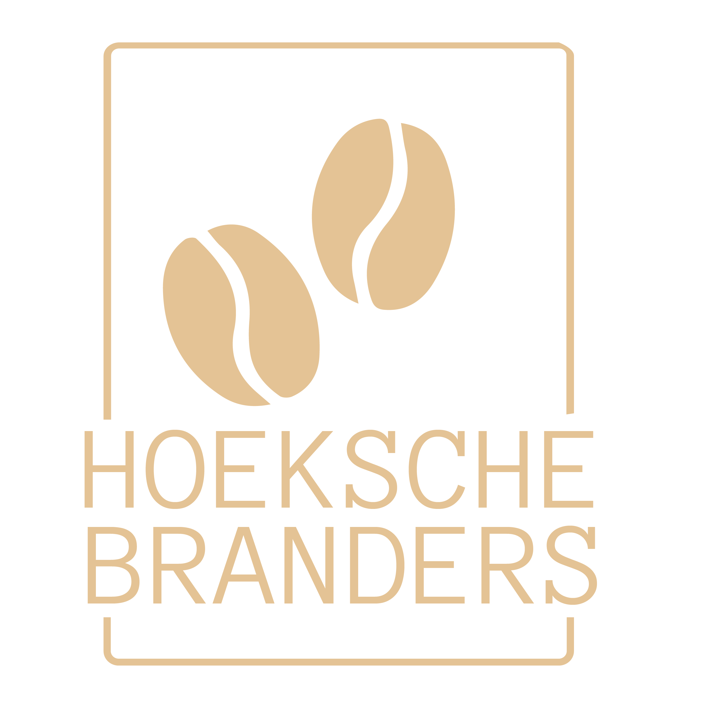 Hoeksche Branders