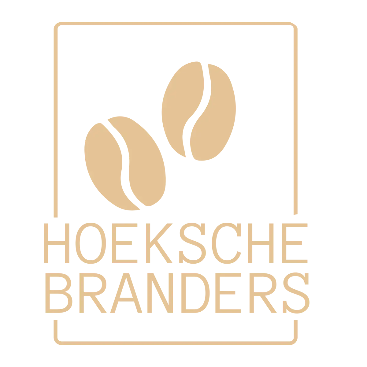 Hoeksche Branders logo