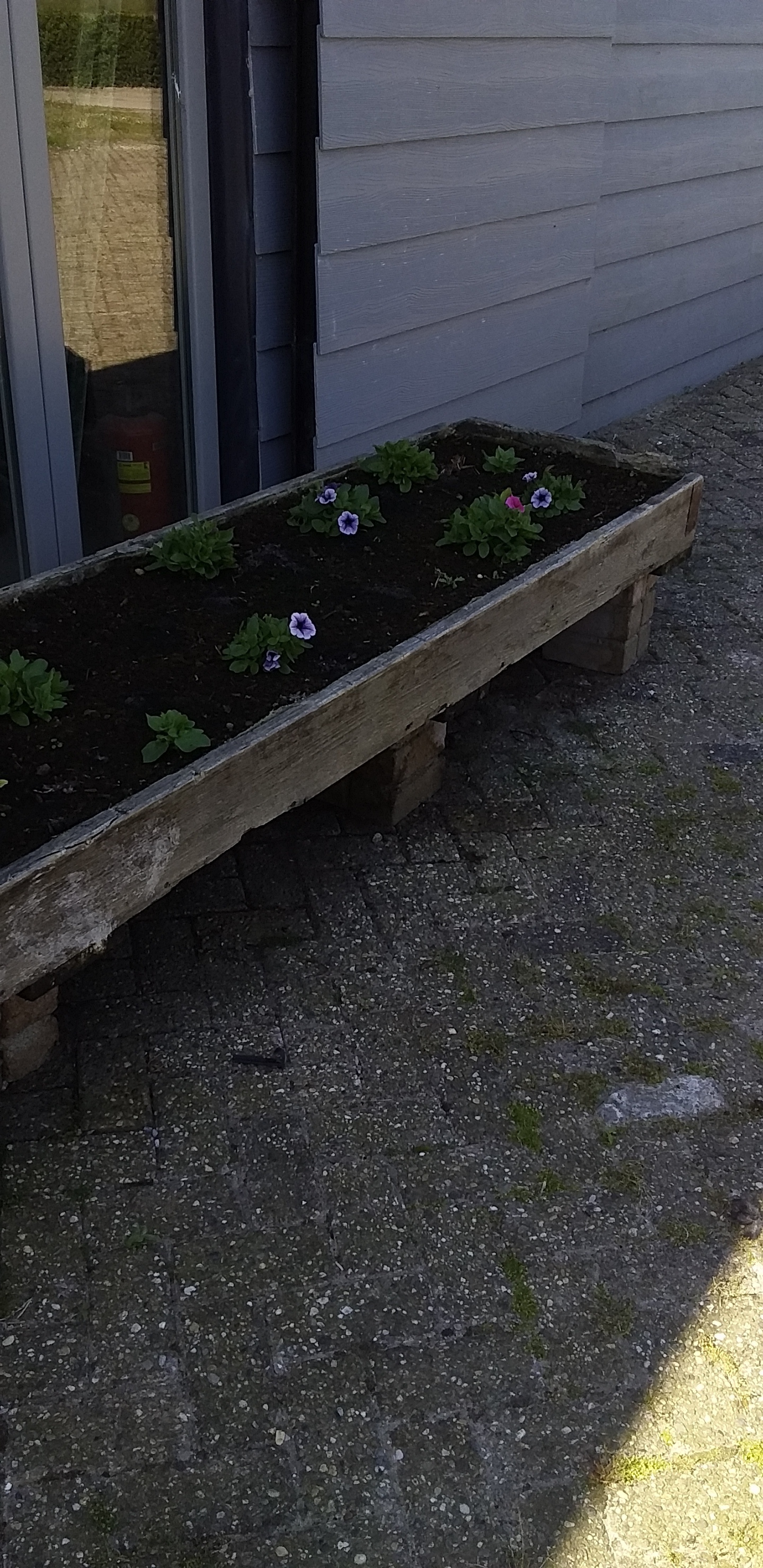 Brasserie Rijk der Vitaminen 