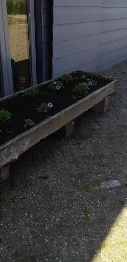Brasserie Rijk der Vitaminen 