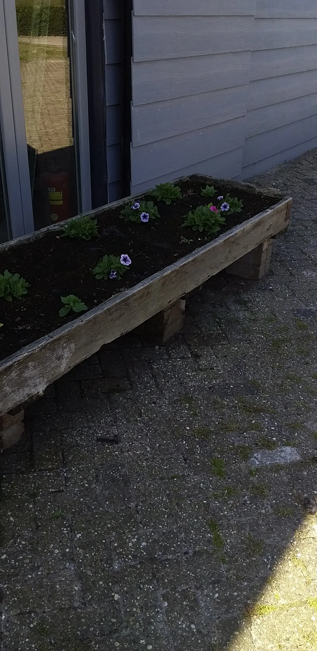 Brasserie Rijk der Vitaminen logo