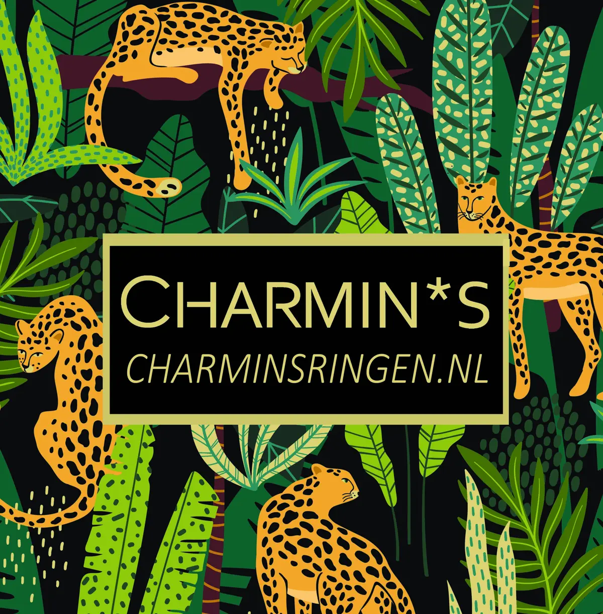 Charminsringen.nl logo