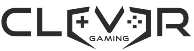 Royal vault B.V. logo